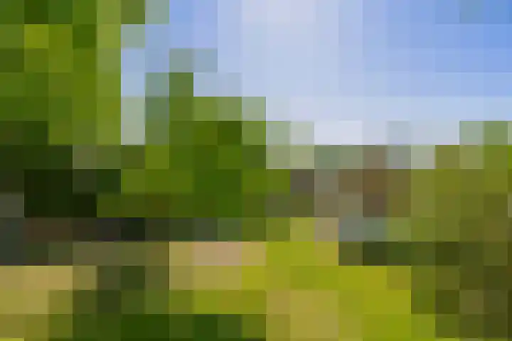 Greveling 5 Annerveenschekanaal thumbnail 40
