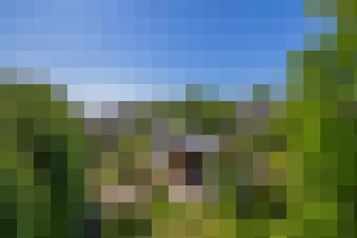Greveling 5 Annerveenschekanaal thumbnail 41