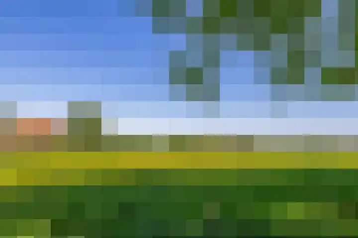 Greveling 5 Annerveenschekanaal thumbnail 42