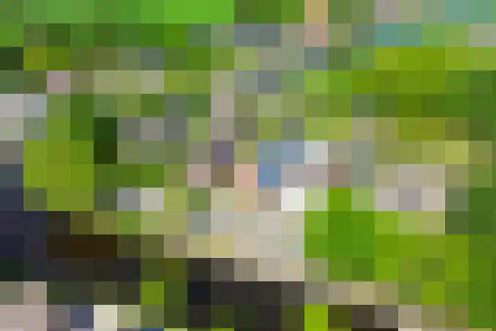 Greveling 5 Annerveenschekanaal thumbnail 46