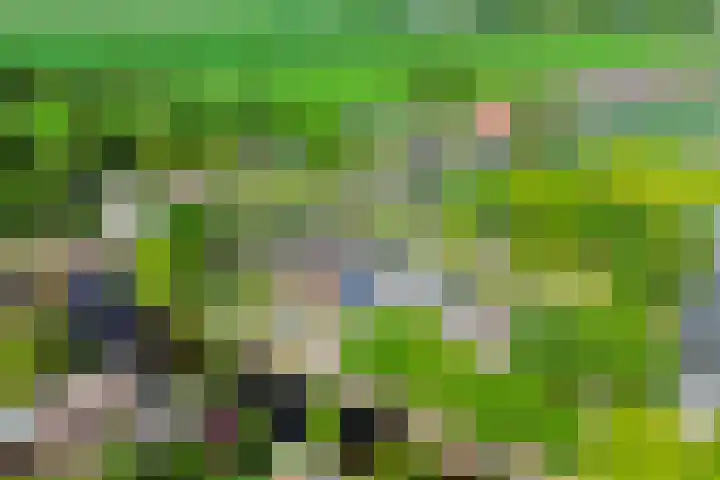Greveling 5 Annerveenschekanaal thumbnail 47