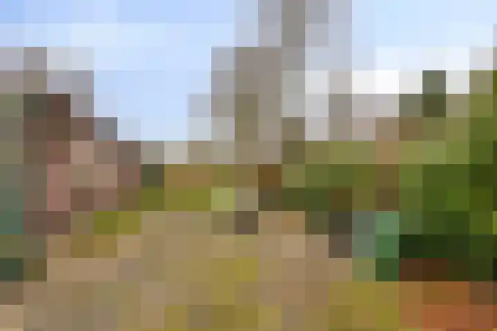 Greveling 65 Annerveenschekanaal thumbnail 34