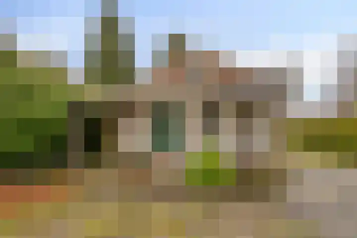 Greveling 65 Annerveenschekanaal thumbnail 35