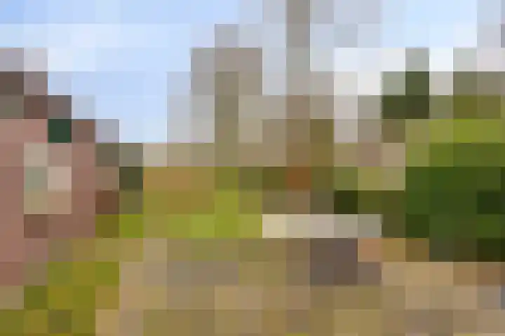 Greveling 65 Annerveenschekanaal thumbnail 36