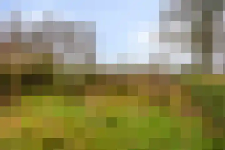 Greveling 65 Annerveenschekanaal thumbnail 37