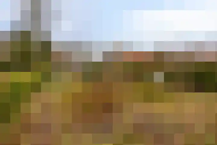 Greveling 65 Annerveenschekanaal thumbnail 38