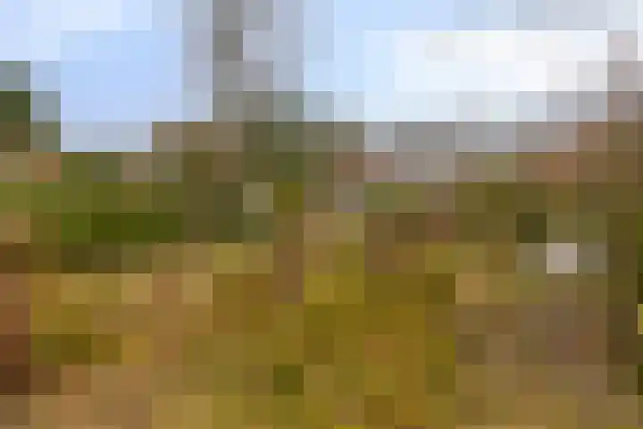 Greveling 65 Annerveenschekanaal thumbnail 39