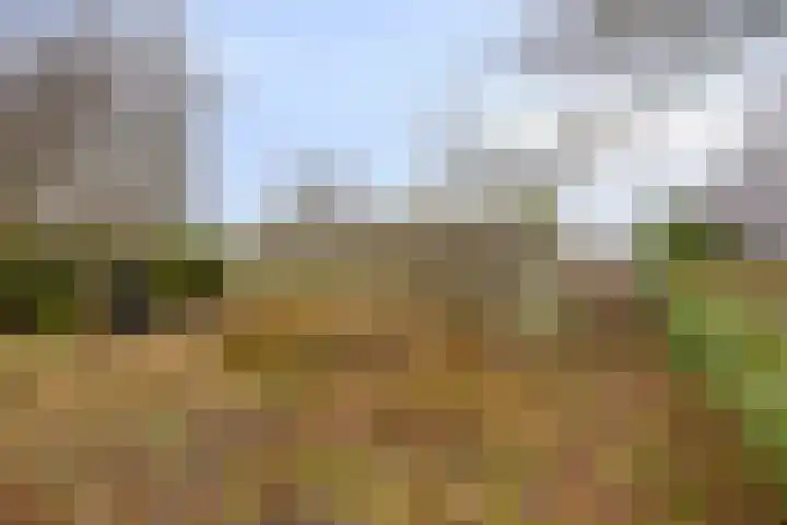 Greveling 65 Annerveenschekanaal thumbnail 41