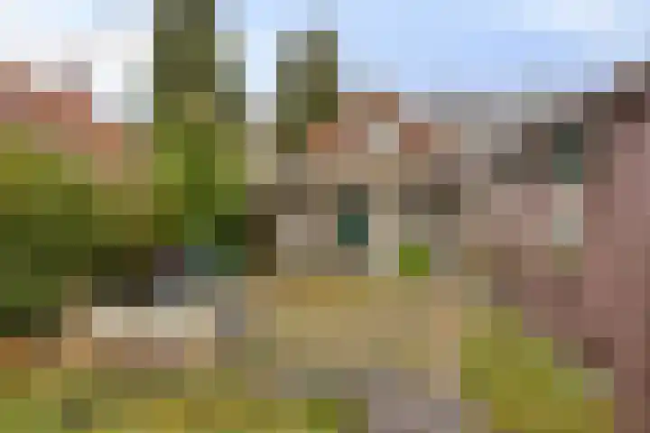 Greveling 65 Annerveenschekanaal thumbnail 43