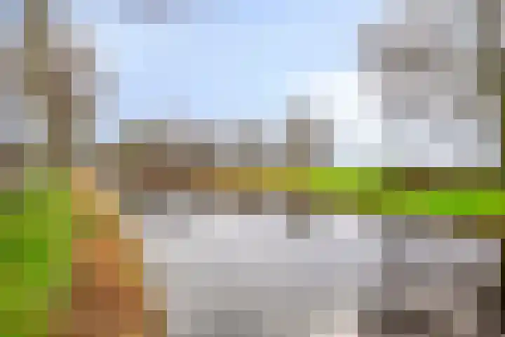 Greveling 65 Annerveenschekanaal thumbnail 44