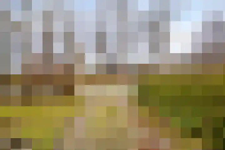 Greveling 65 Annerveenschekanaal thumbnail 5