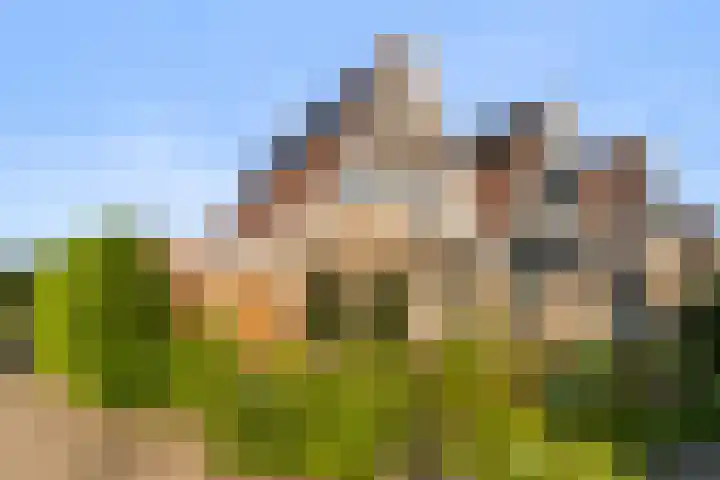 Grevelingen 1 Dronten