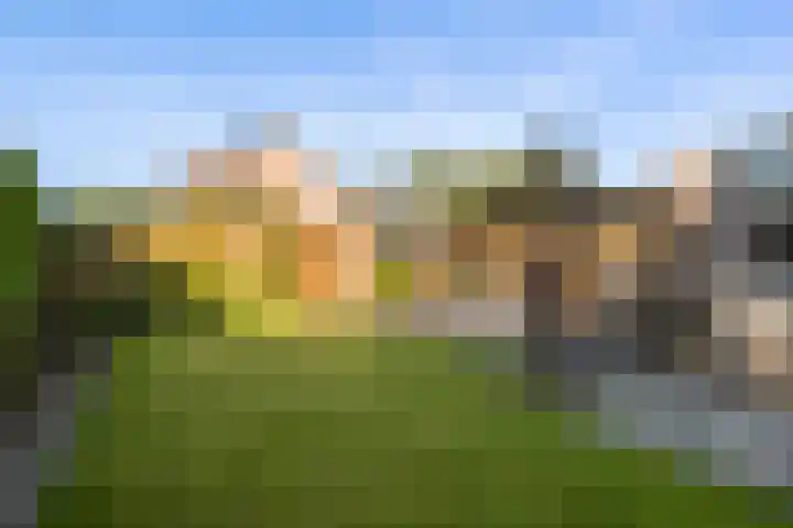 Grevelingen 1 Dronten thumbnail 25