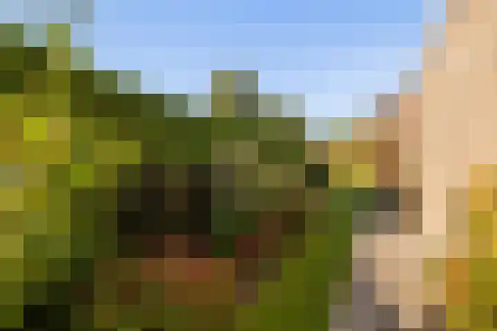 Grevelingen 1 Dronten thumbnail 26