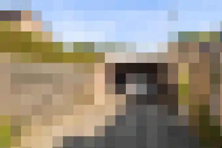 Grevelingen 1 Dronten thumbnail 27