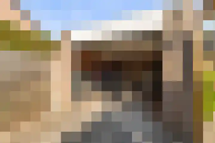 Grevelingen 1 Dronten thumbnail 28