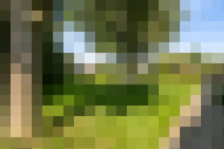 Grevelingen 1 Dronten thumbnail 29