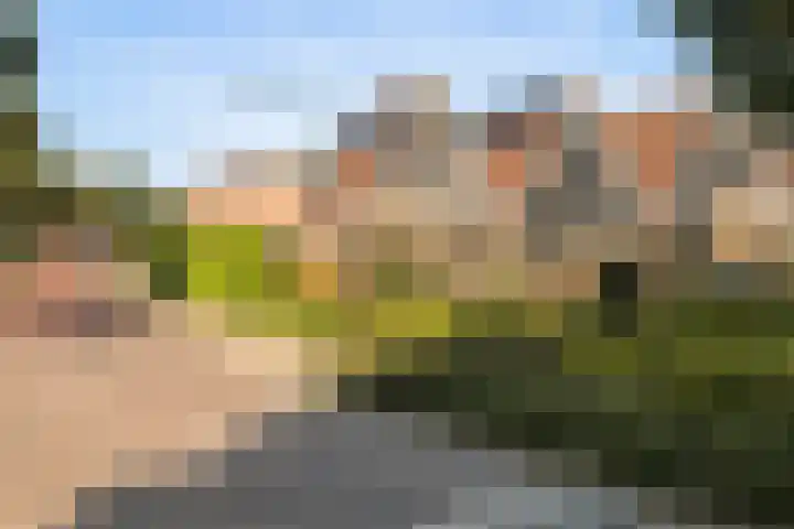 Grevelingen 1 Dronten thumbnail 30