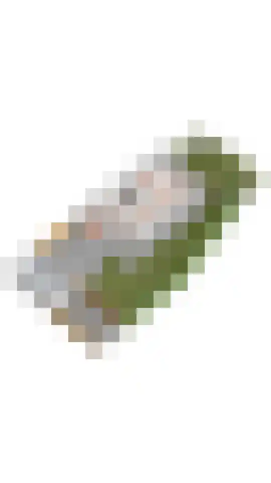 Grevelingen 1 Dronten thumbnail 37