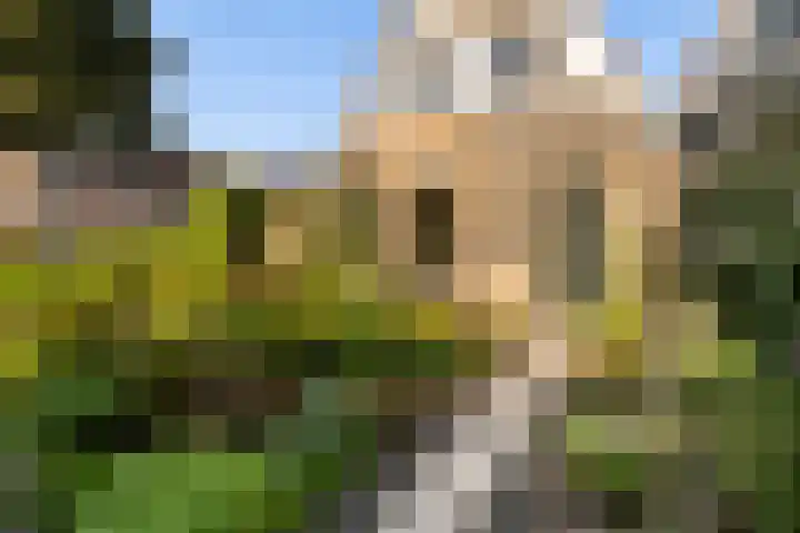Grevelingen 1 Dronten thumbnail 4
