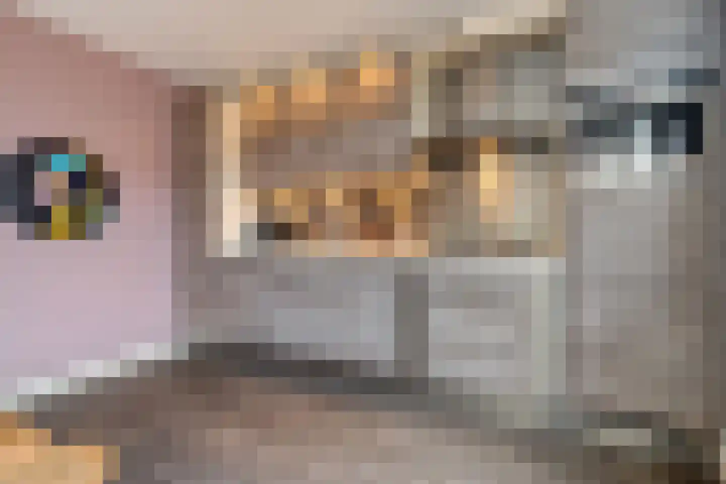 Grevelingen 11 Dronten thumbnail 14