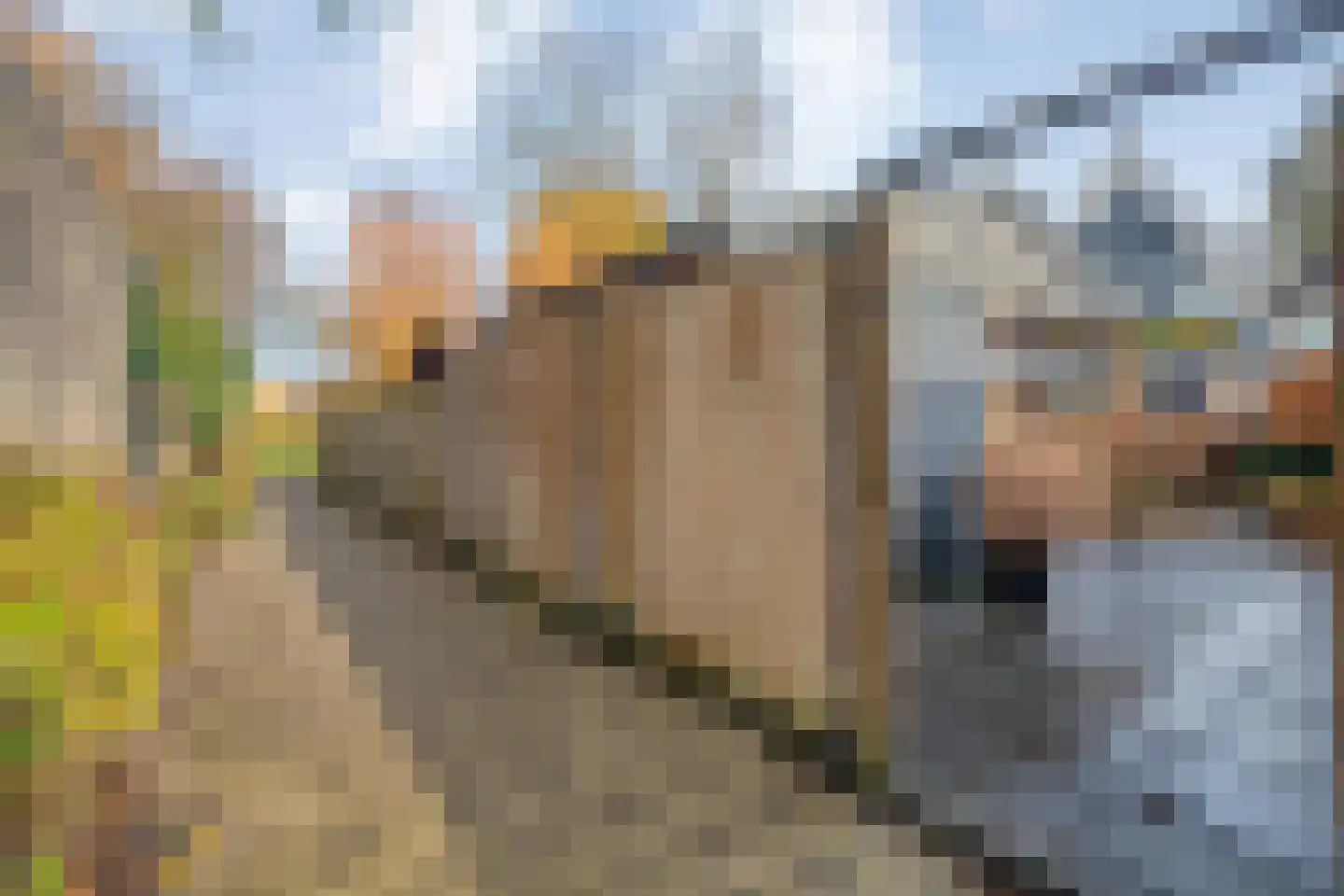 Grevelingen 11 Dronten thumbnail 36
