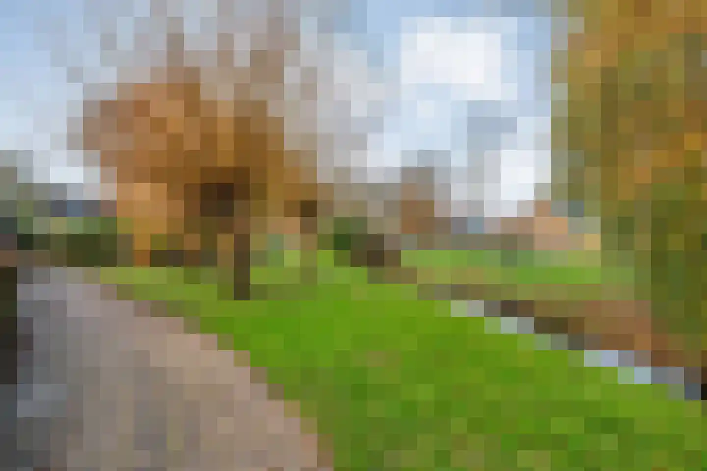 Grevelingen 11 Dronten thumbnail 39