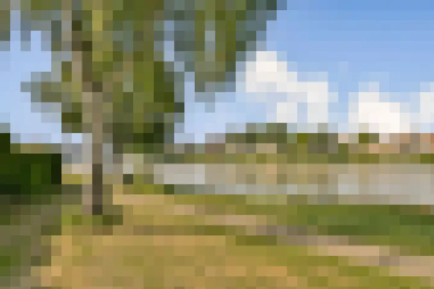 Grevelingen 11 Zwijndrecht thumbnail 14