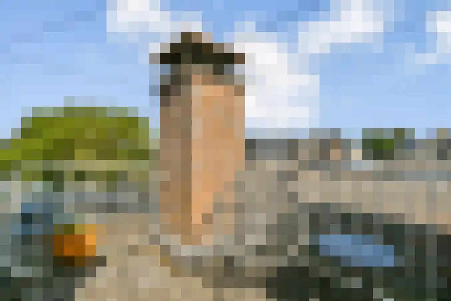 Grevelingen 11 Zwijndrecht thumbnail 38