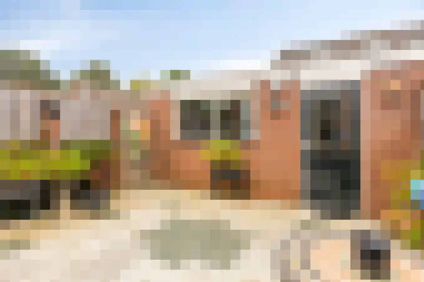 Grevelingen 110 Alkmaar thumbnail 32