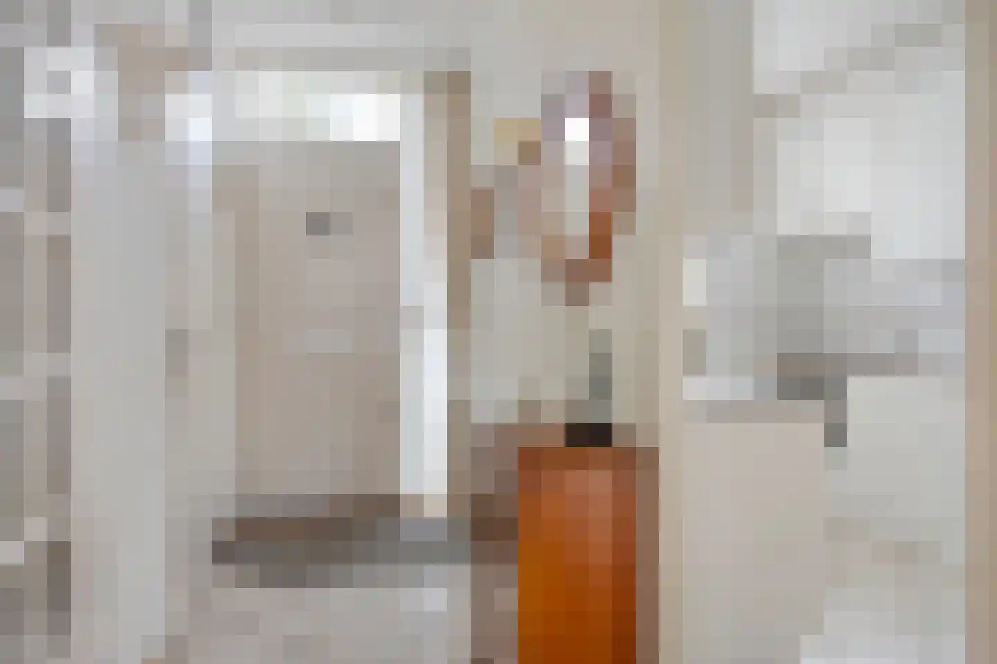 Grevelingen 110 Alkmaar thumbnail 5