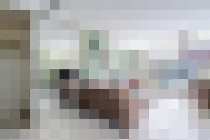 Grevelingen 116 Alkmaar thumbnail 11