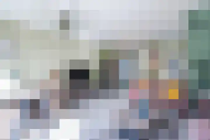 Grevelingen 116 Alkmaar thumbnail 13