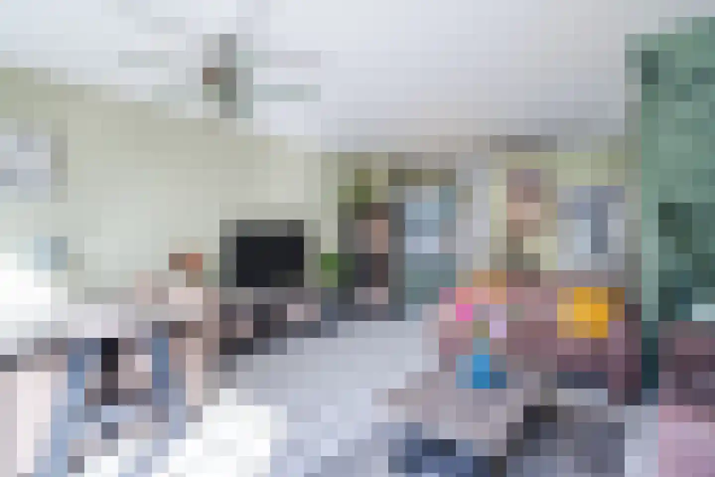 Grevelingen 116 Alkmaar thumbnail 13