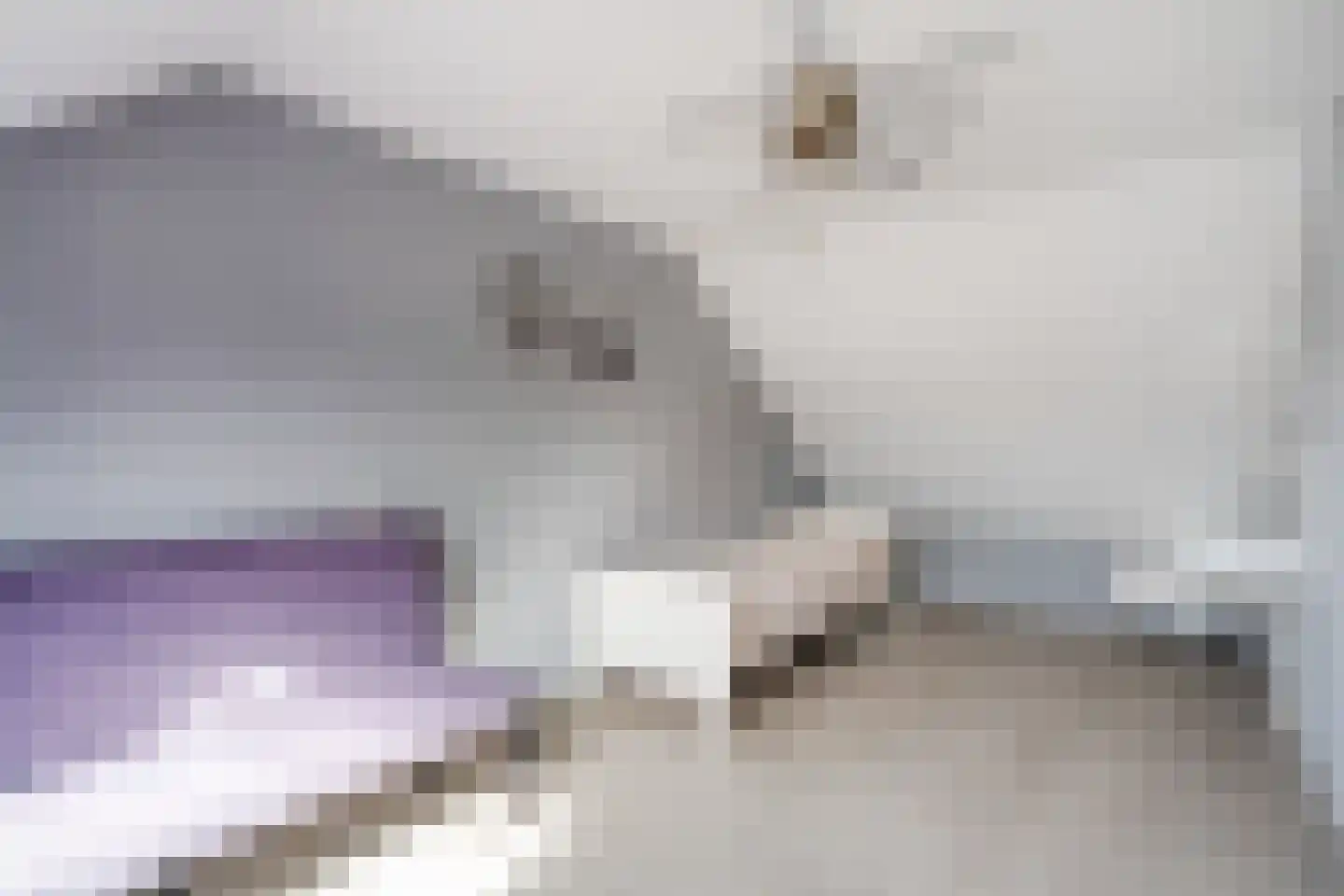 Grevelingen 116 Alkmaar thumbnail 36