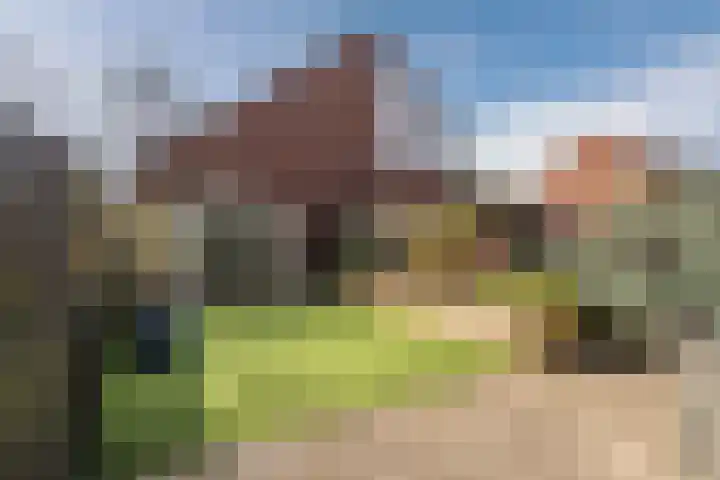 Grevelingen 116 Alkmaar thumbnail 45