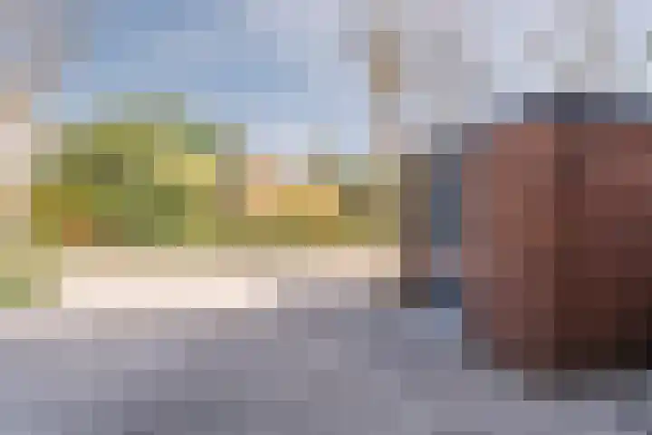 Grevelingen 116 Alkmaar thumbnail 5