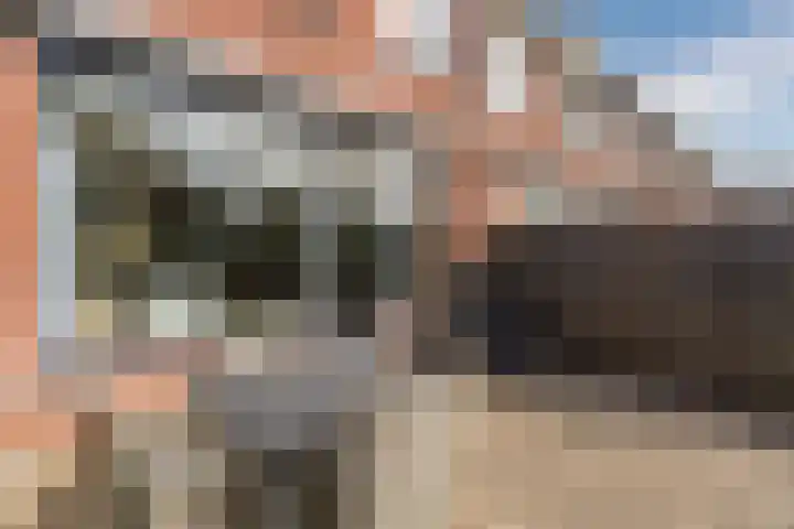 Grevelingen 116 Alkmaar thumbnail 51