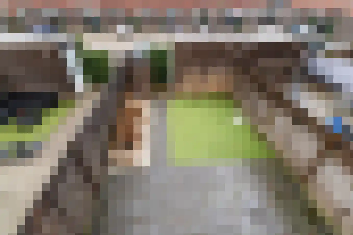 Grevelingen 12 Arnhem thumbnail 27
