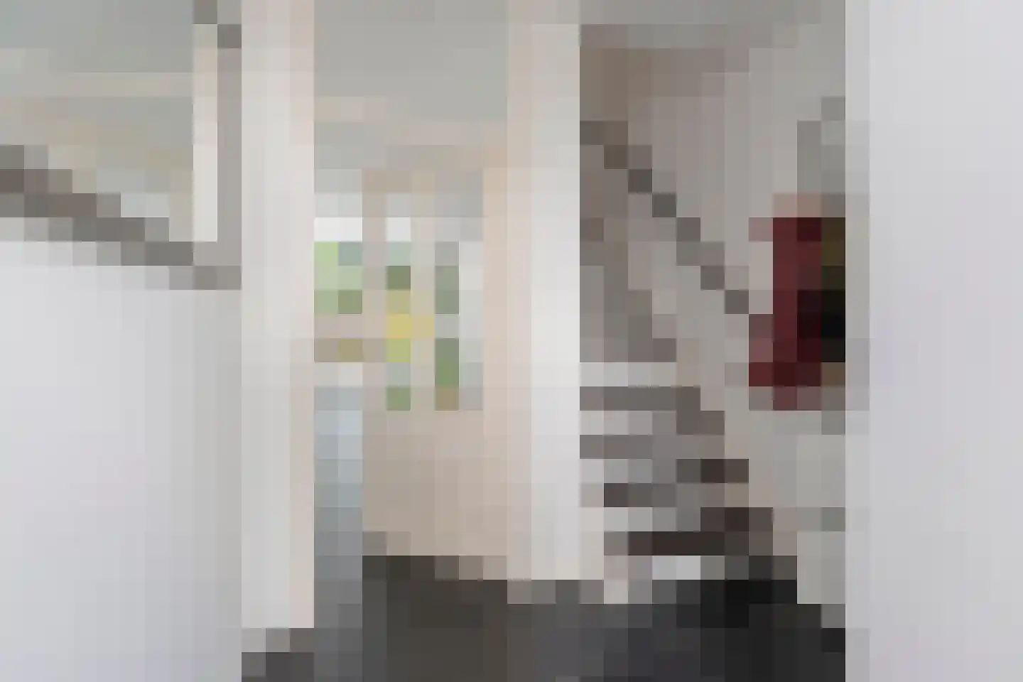 Grevelingen 122 Alkmaar thumbnail 11