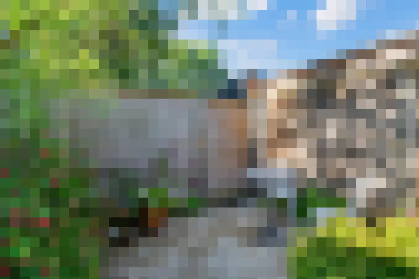 Grevelingen 122 Alkmaar thumbnail 22