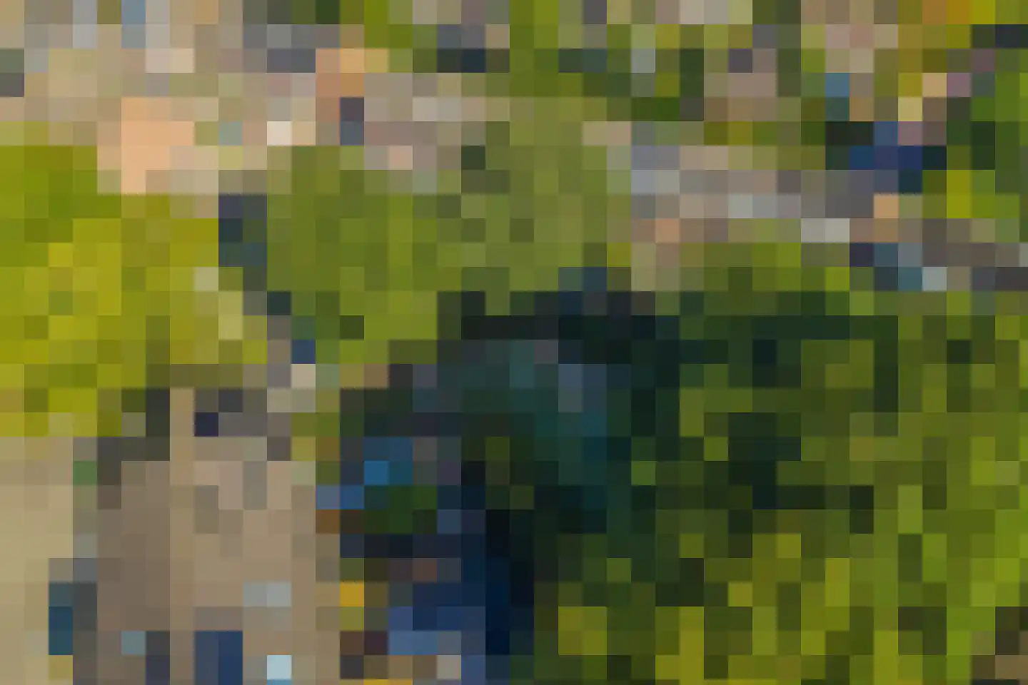 Grevelingen 122 Alkmaar thumbnail 28