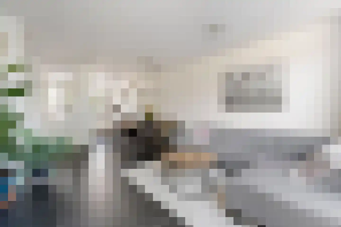 Grevelingen 122 Alkmaar thumbnail 7