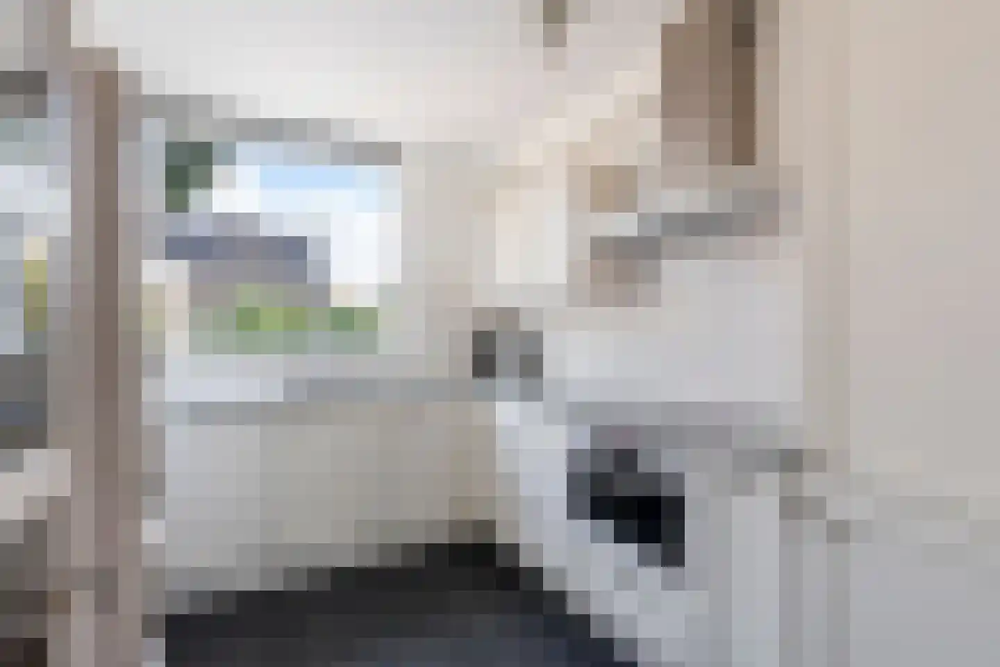 Grevelingen 122 Alkmaar thumbnail 9