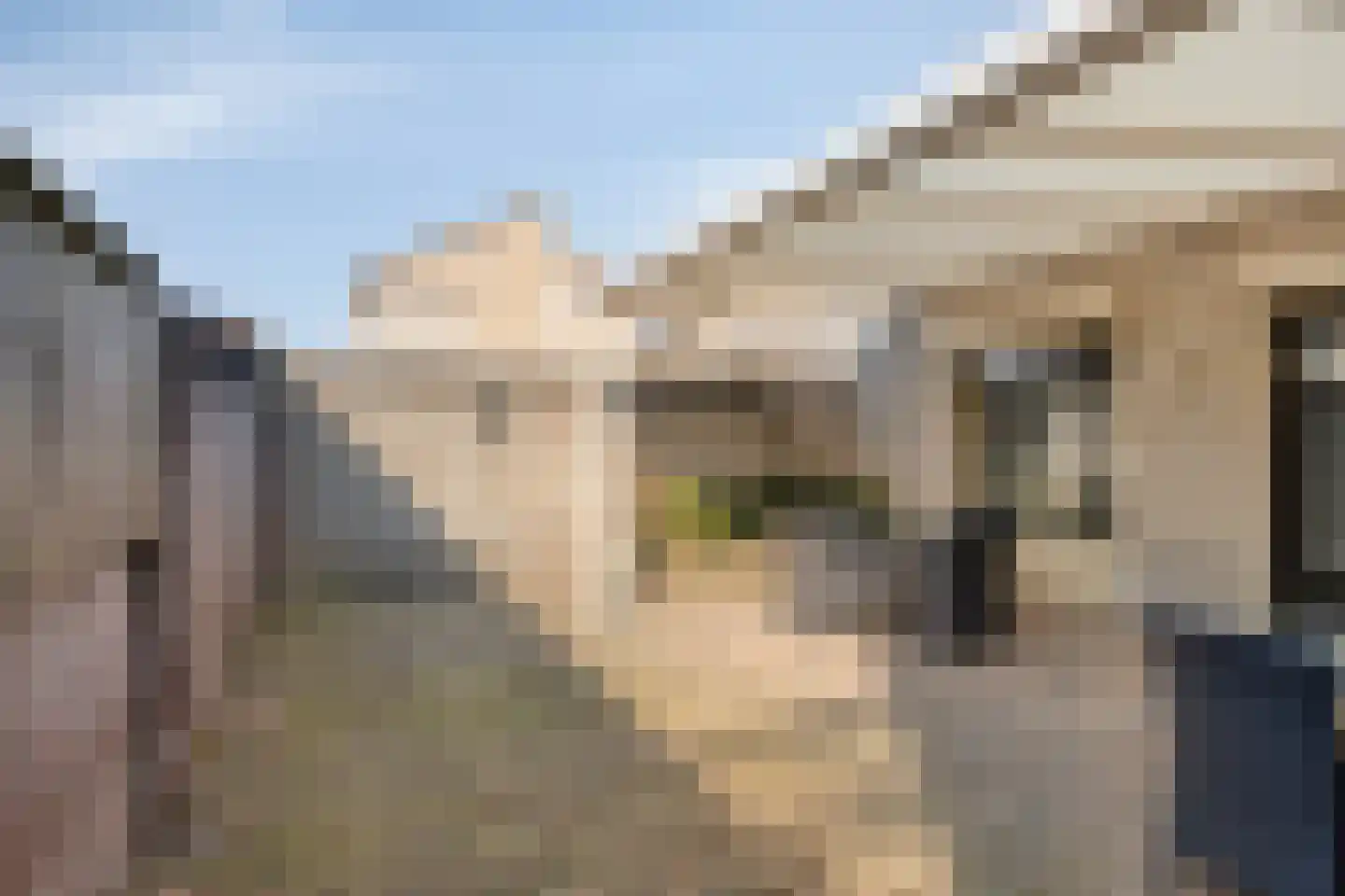 Grevelingen 13 Helmond thumbnail 30