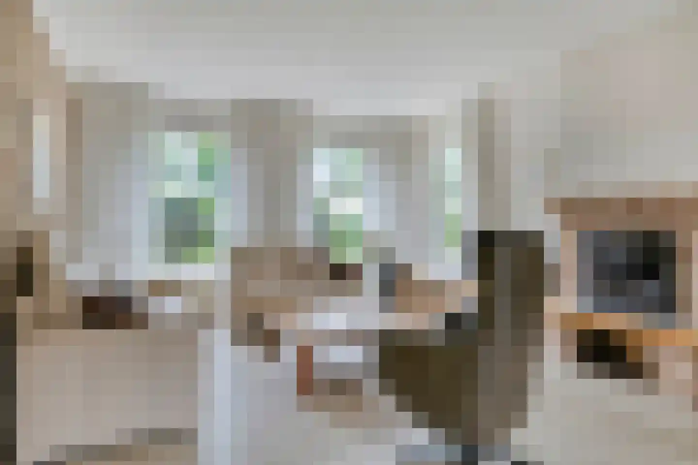 Grevelingen 13 Terneuzen thumbnail 10