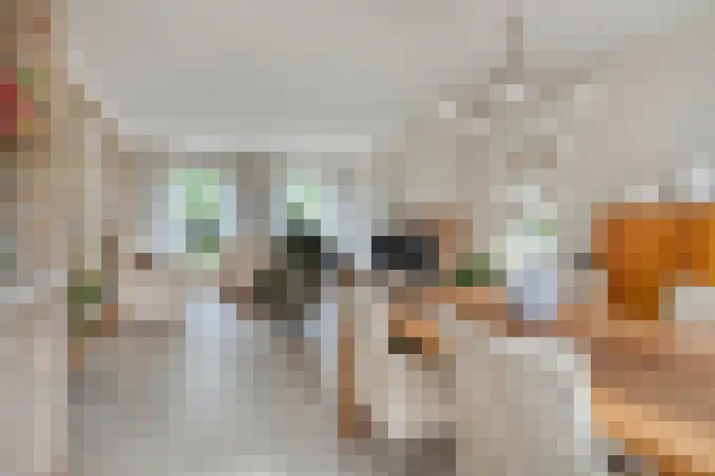 Grevelingen 13 Terneuzen thumbnail 12
