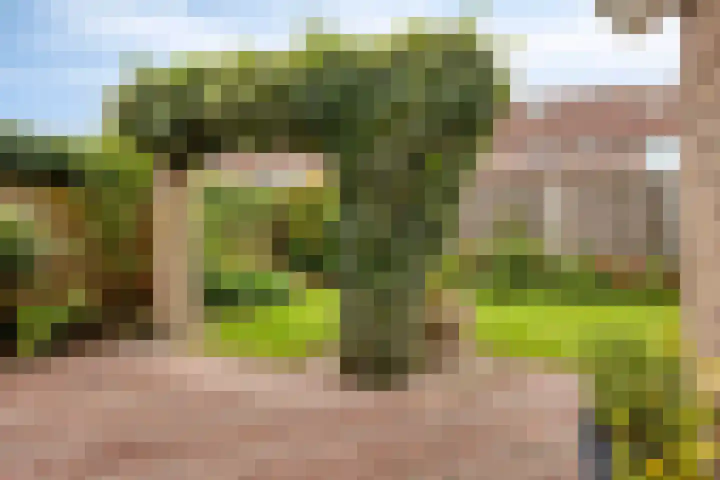 Grevelingen 13 Terneuzen thumbnail 43