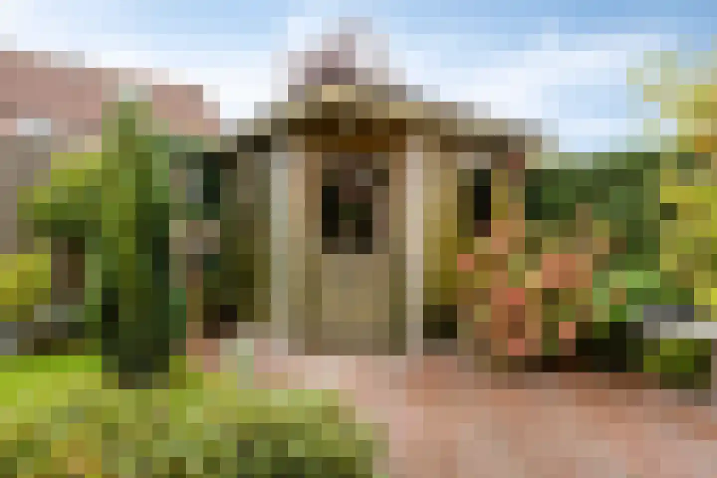 Grevelingen 13 Terneuzen thumbnail 46