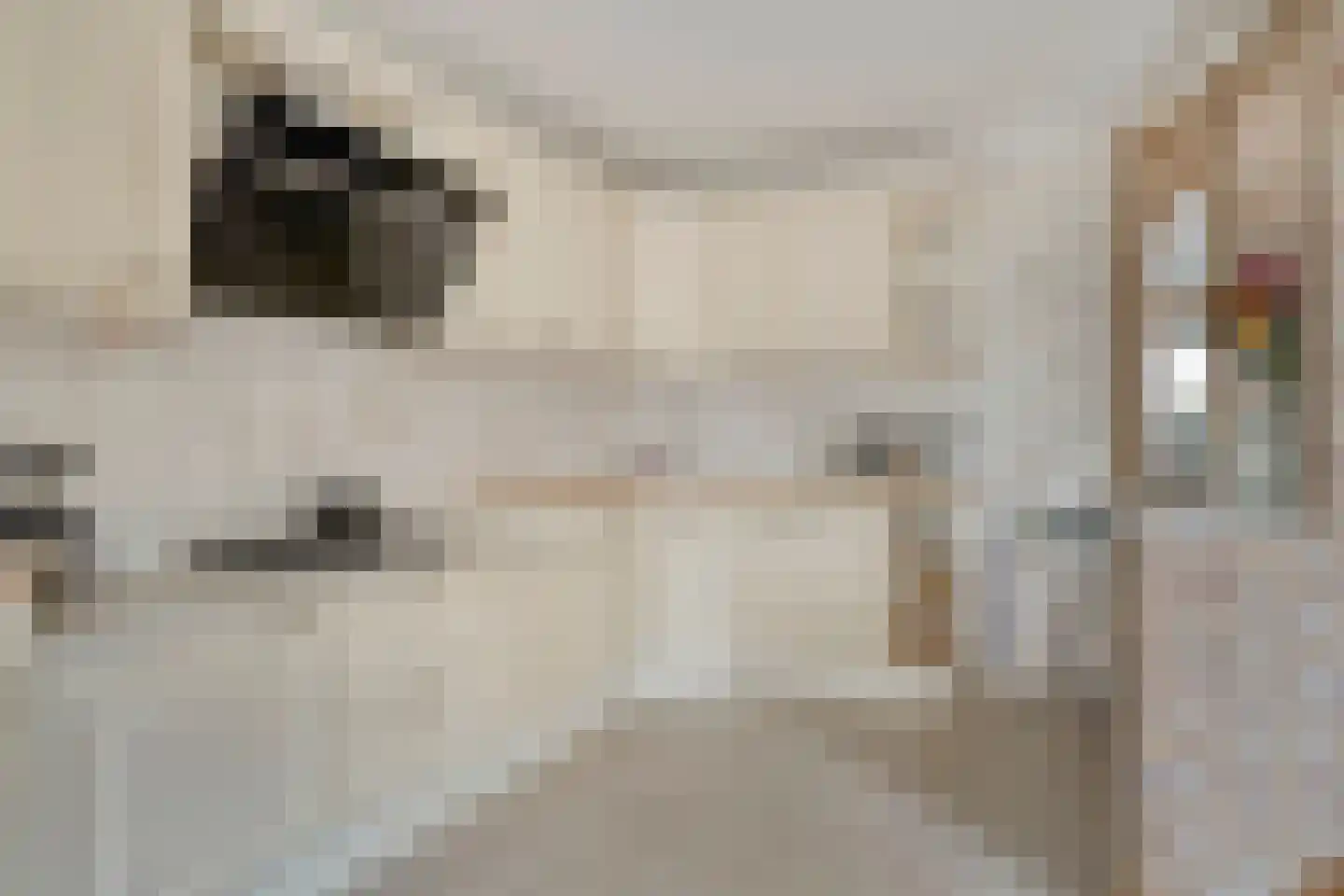 Grevelingen 13 Terneuzen thumbnail 5